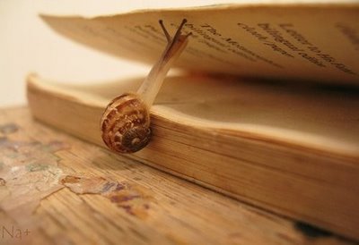 a_snail__and_the_book__via_sine-qua-non